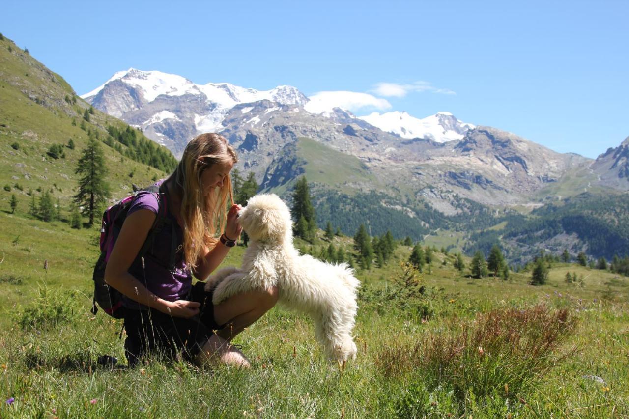 Petit Tournalin Hotel Champoluc